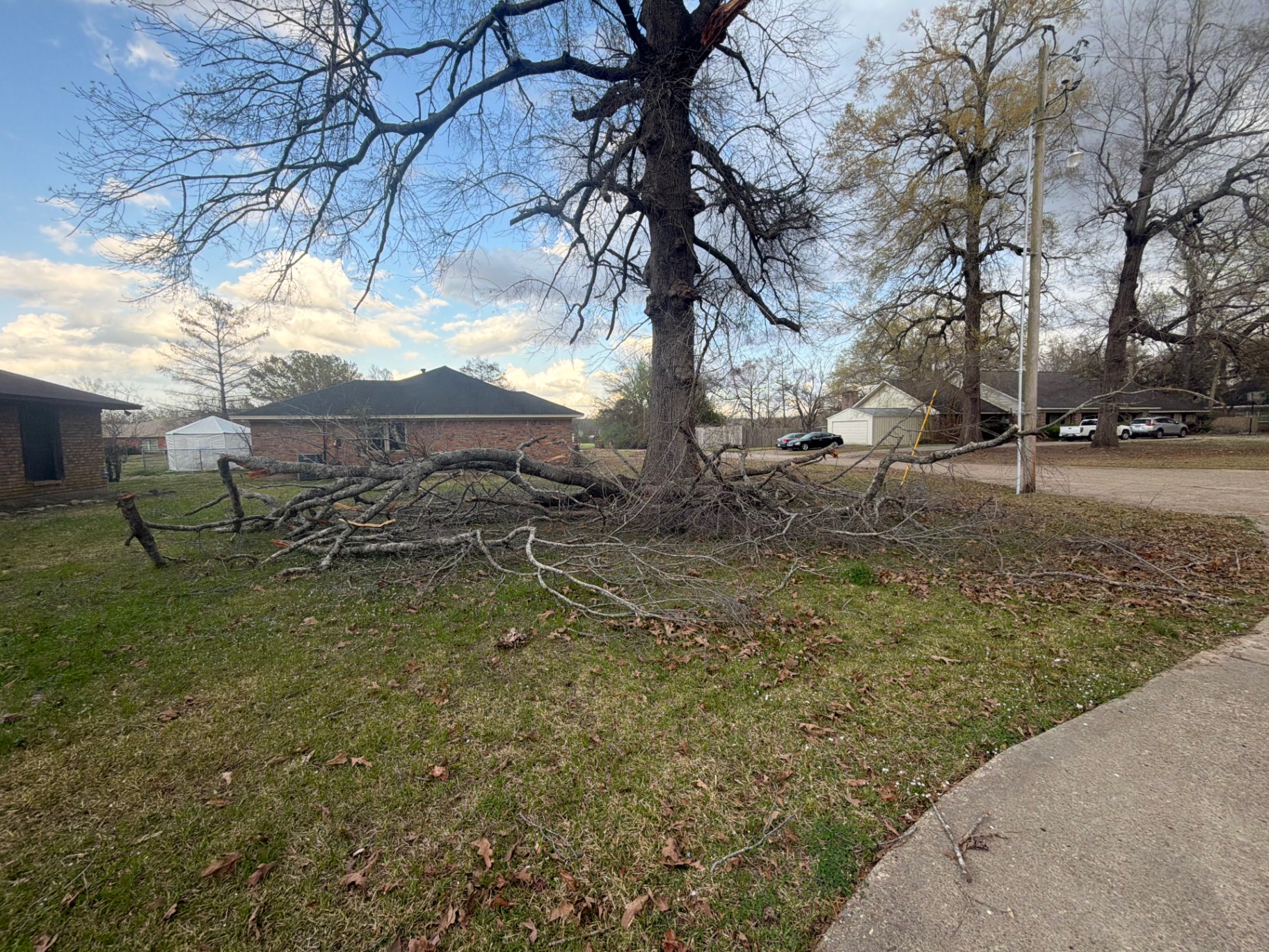 Debris Removal