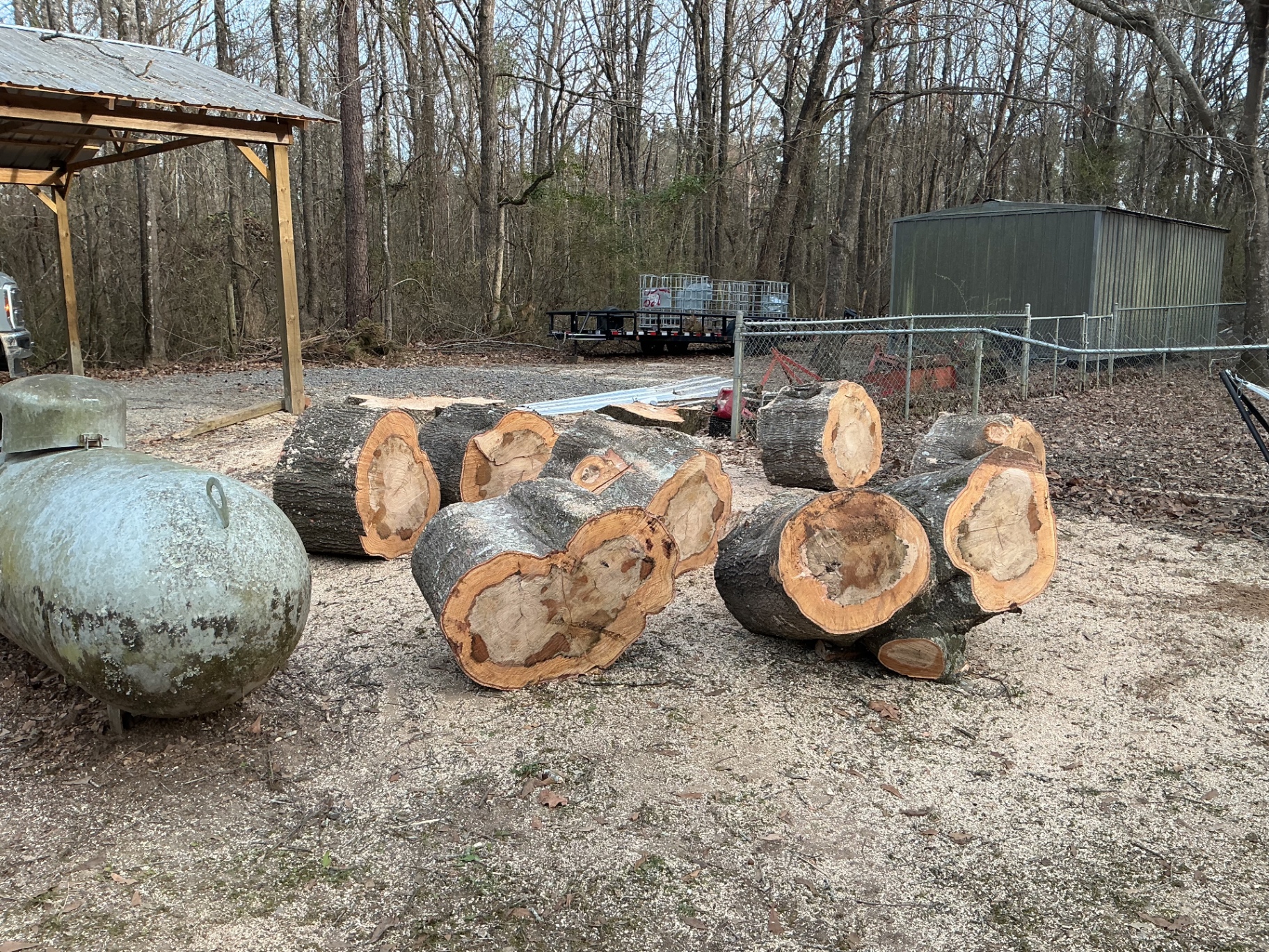 Tree Removal